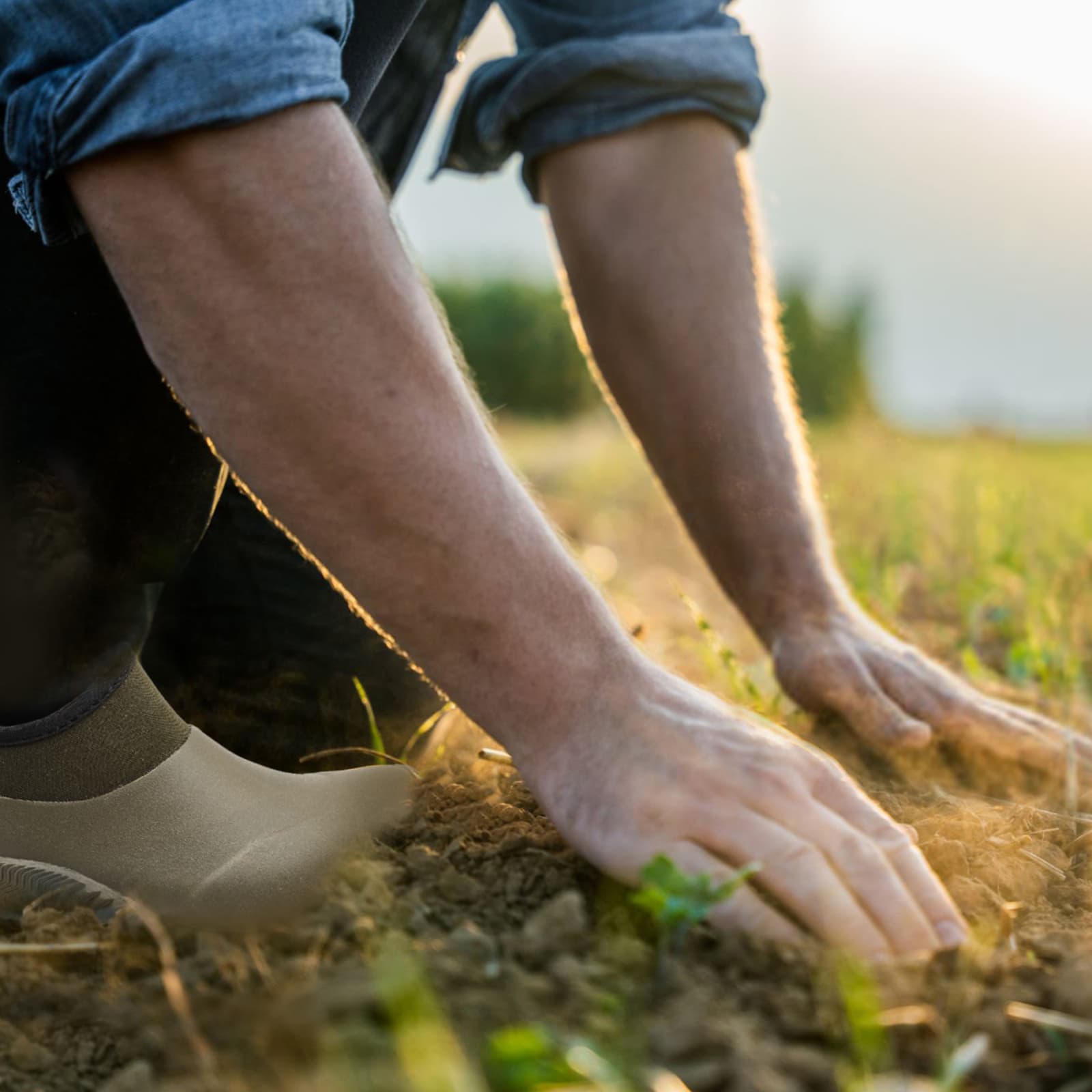 8Fans Роскошная удобная универсальная водонепроницаемая мужская садовая обувь зеленого цвета 3